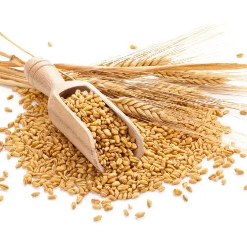 Premium Natural Wheat