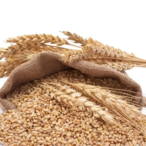 Premium Natural Wheat