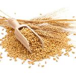 Premium Natural Wheat