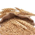 Premium Natural Wheat