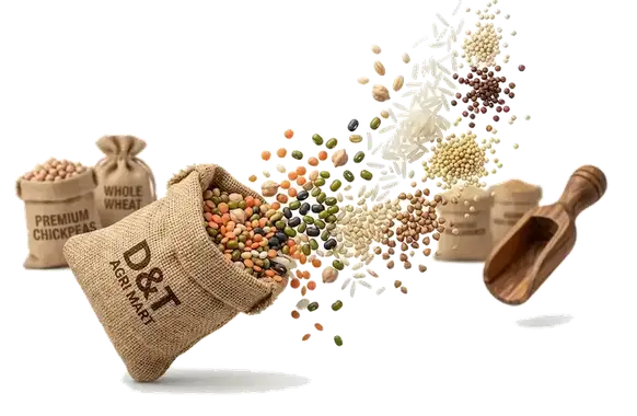real pulses and grains